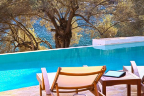 Villa Amoudia